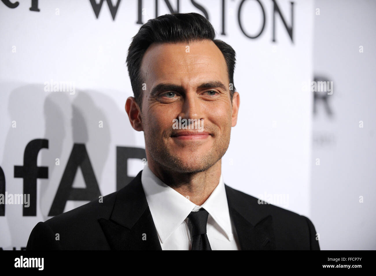 Cheyenne Jackson attends the 2016 amfAR New York Gala at Cipriani Wall Street on February 10