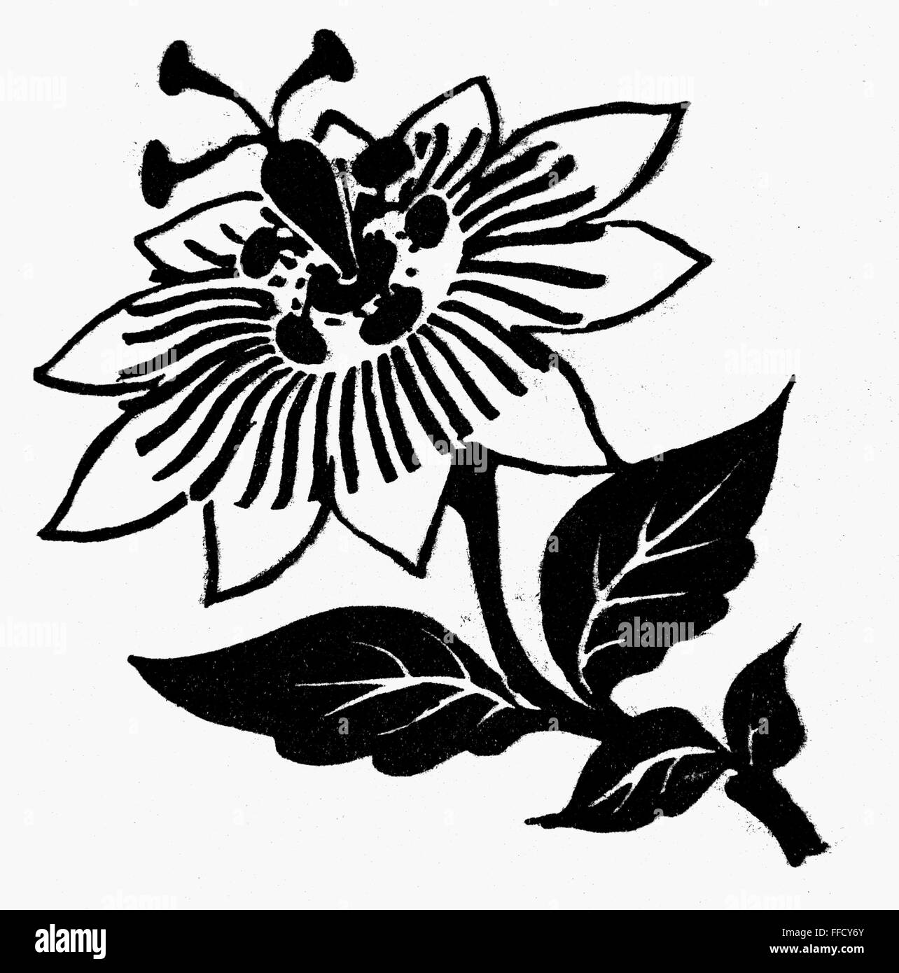 SYMBOL PASSION FLOWER. /nSymbol of the Passion of Jesus Christ. Line