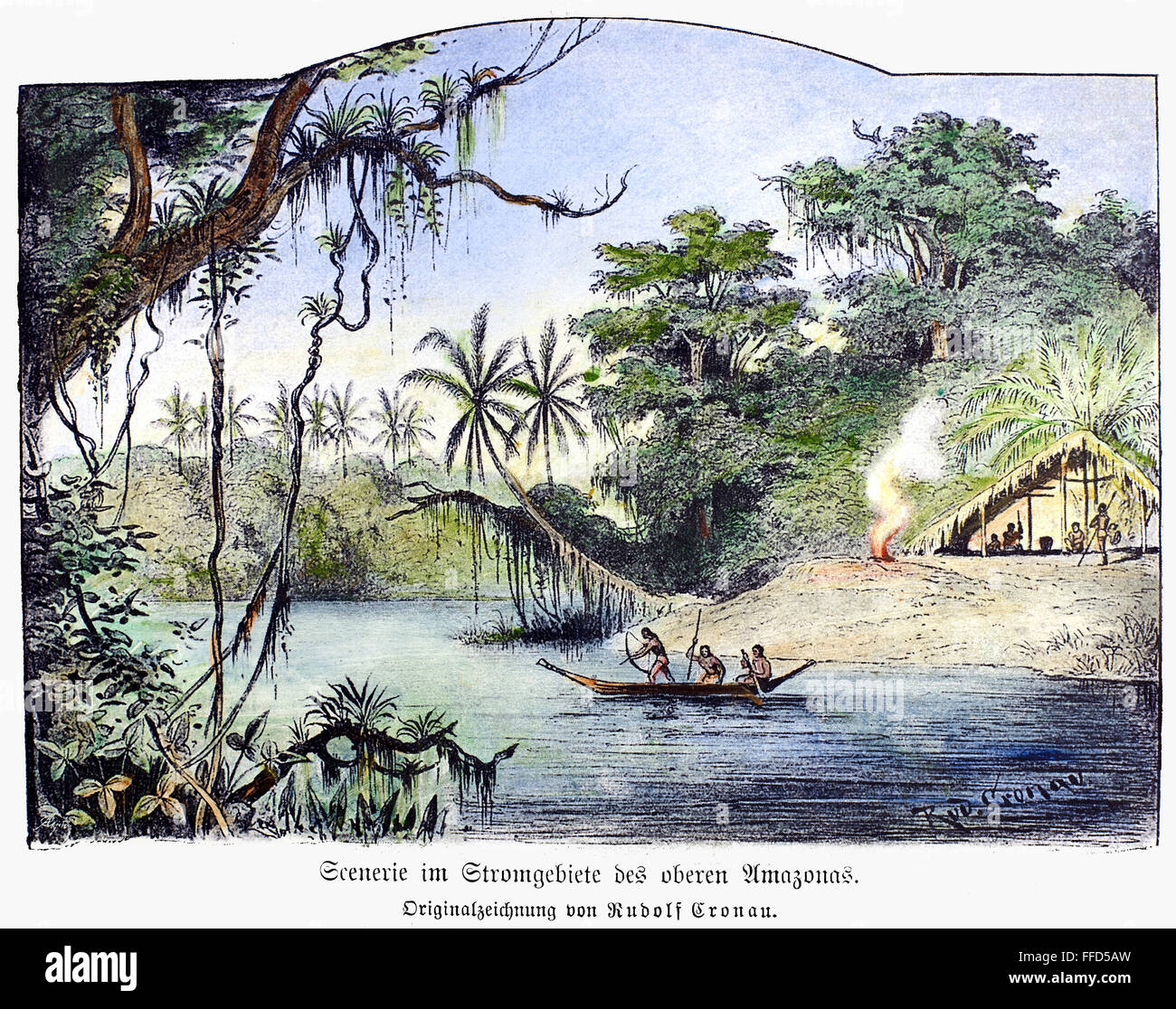 Amazon Jungle Drawing Hi Res Stock Photography And Images Alamy