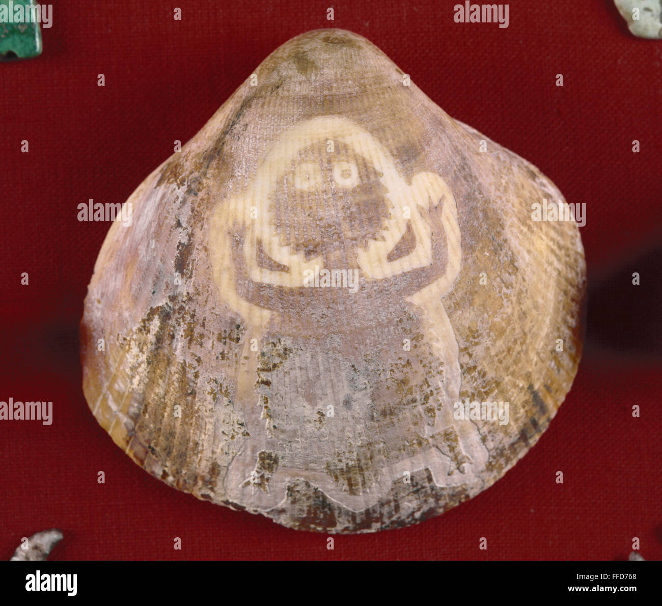 NATIVE AMERICAN ARTIFACT. /nHorned toad figure etched onto a shell with acid, Southwest Native American artifact, 700-900 A.D. Stock Photo