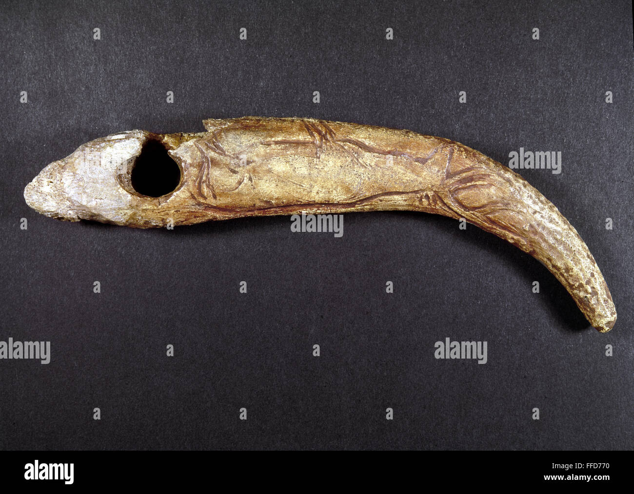 NATIVE AMERICAN TOOL. /nNorth American Indian antler tool with a deer carving. Stock Photo