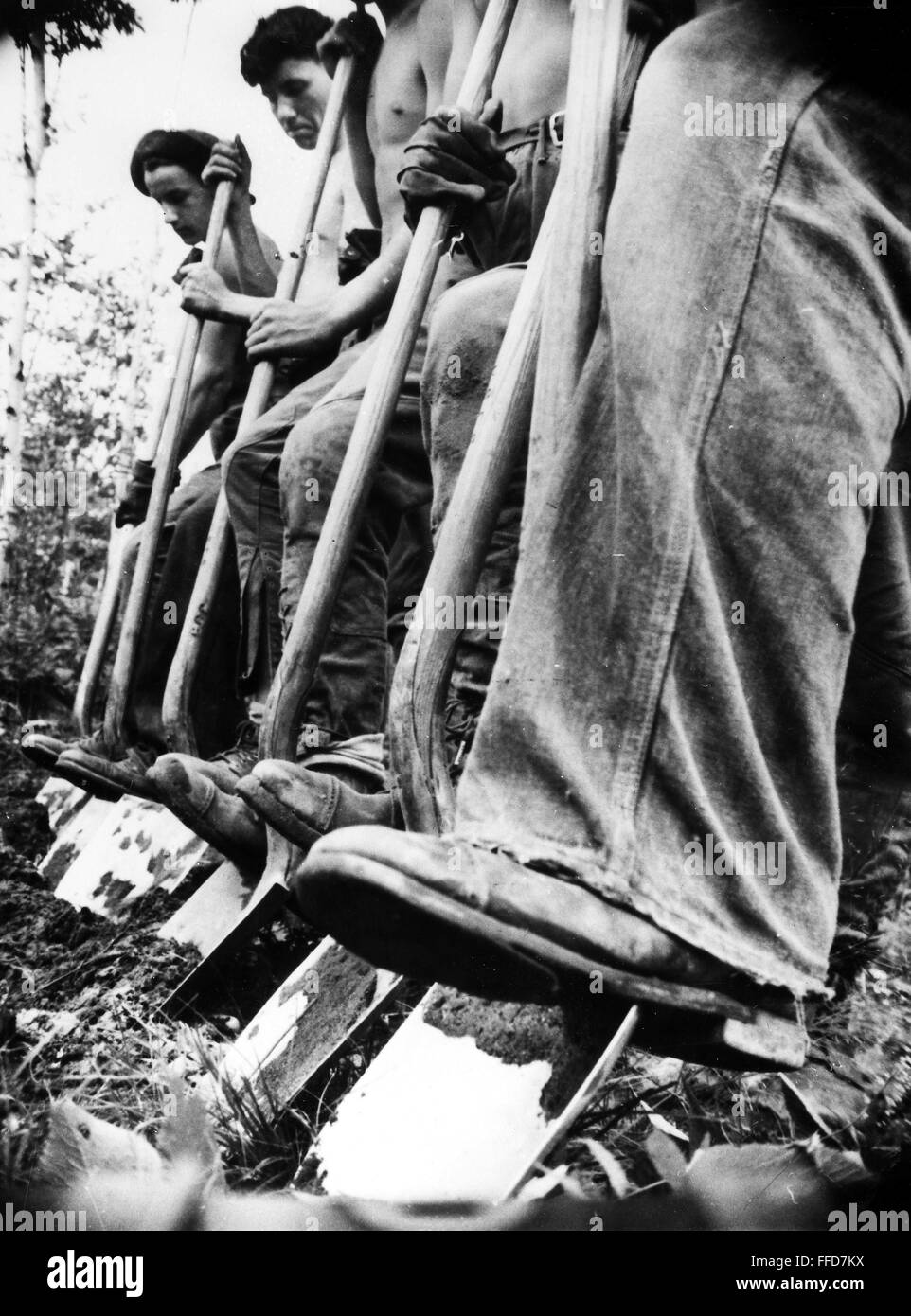 NEW DEAL: C.C.C., 1940. /nWorkers for the Civilian Conservation Corps ...