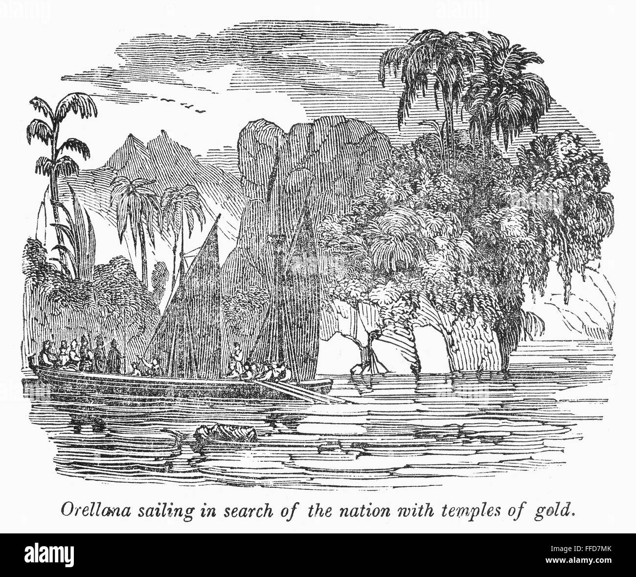 Amazon rainforest river Cut Out Stock Images & Pictures Alamy