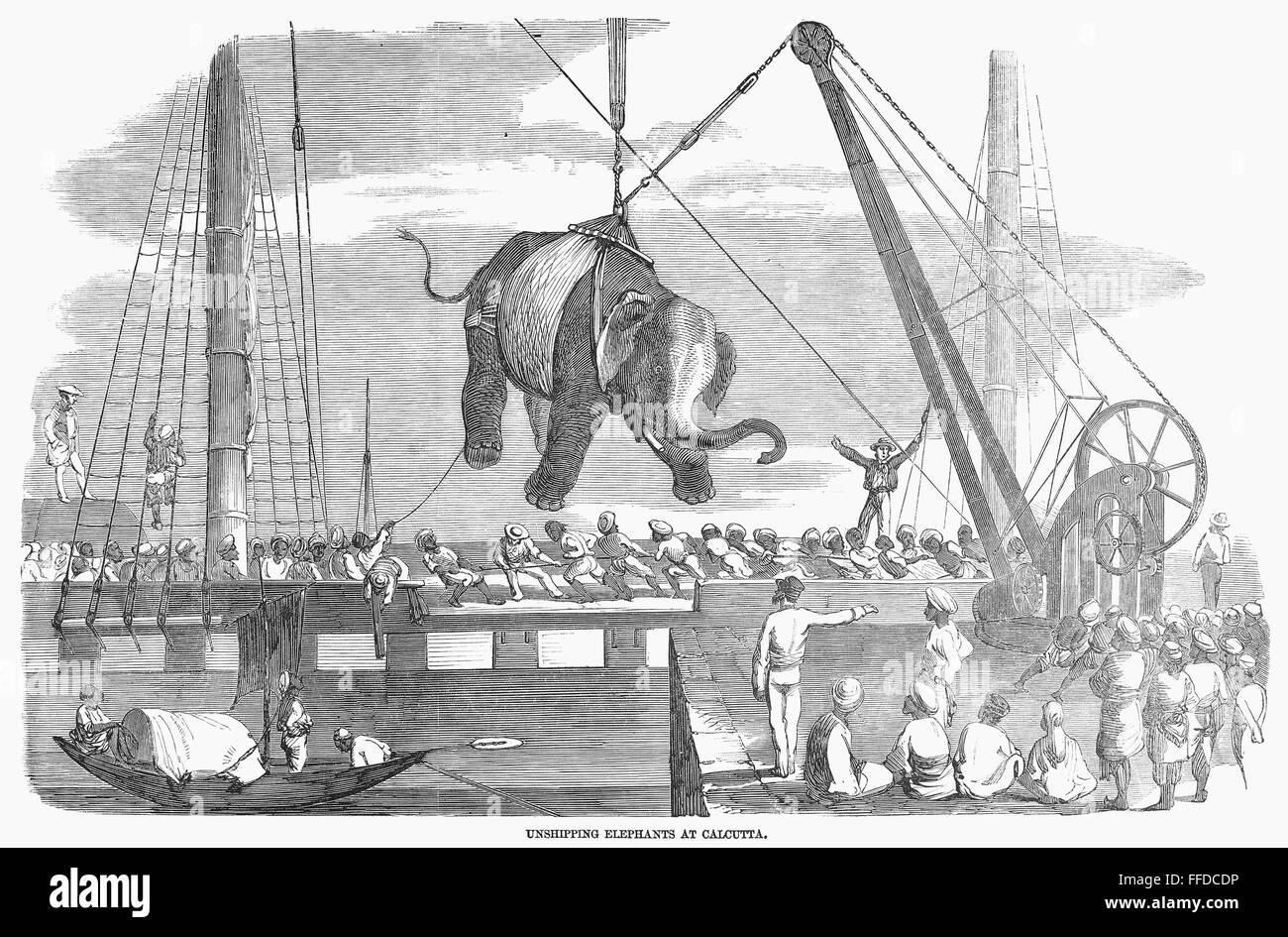 ELEPHANT HOIST, 1858. /nHoisting an elephant off of a ship at Calcutta