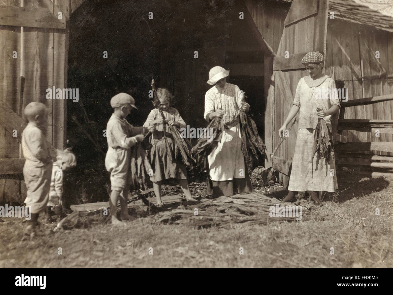 KENTUCKY TOBACCO FARM. /nStripping tobacco on a family farm near