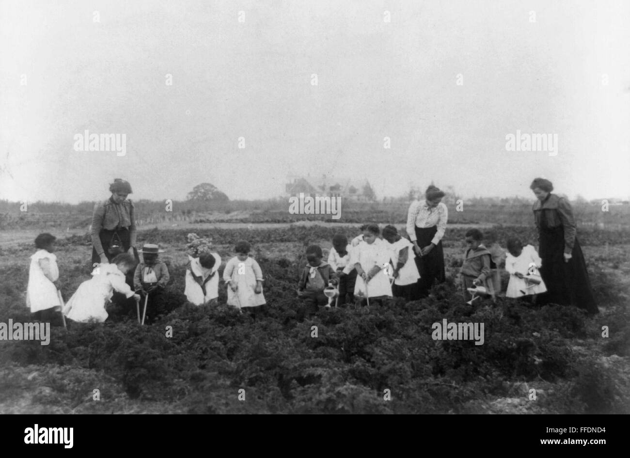 KINDERGARTEN FIELD WORK. /nA kindergarten class of African American children learning gardening