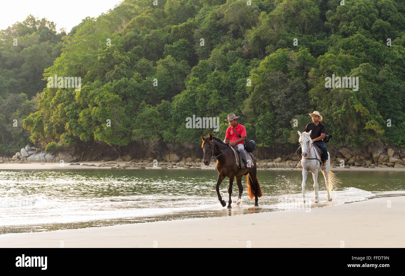 Two local men horseriding on a beach in western Sabah, Malaysia Stock Photo