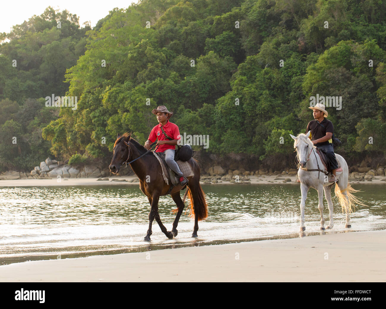 Two local men horseriding on a beach in western Sabah, Malaysia Stock Photo