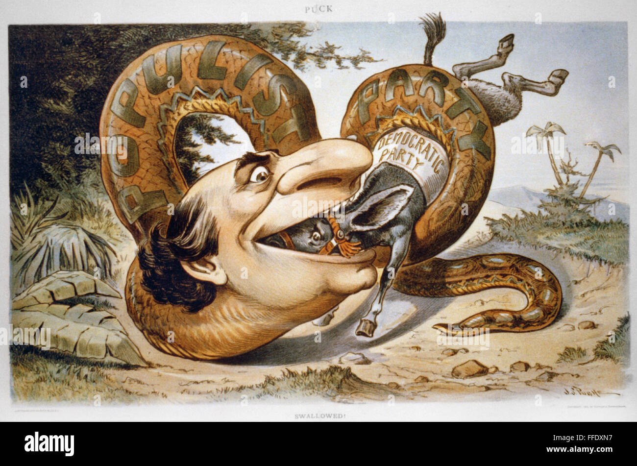 POPULIST PARTY CARTOON. /n'Swallowed!' American political cartoon showing a python snake with the head of William Jennings Bryan, as the Populist Party, swallowing the Democratic Party donkey, 1900. Stock Photo