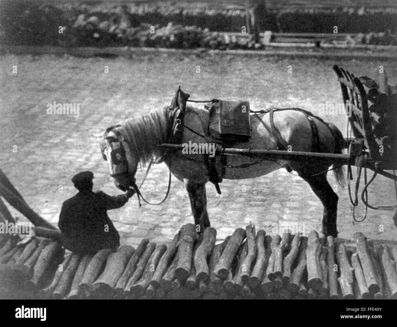 STIEGLITZ: PARIS, 1911. /nMan holding the reins to a horse pulling a cart in Paris, France. Photograph by Alfred Stieglitz, 1911. Stock Photo