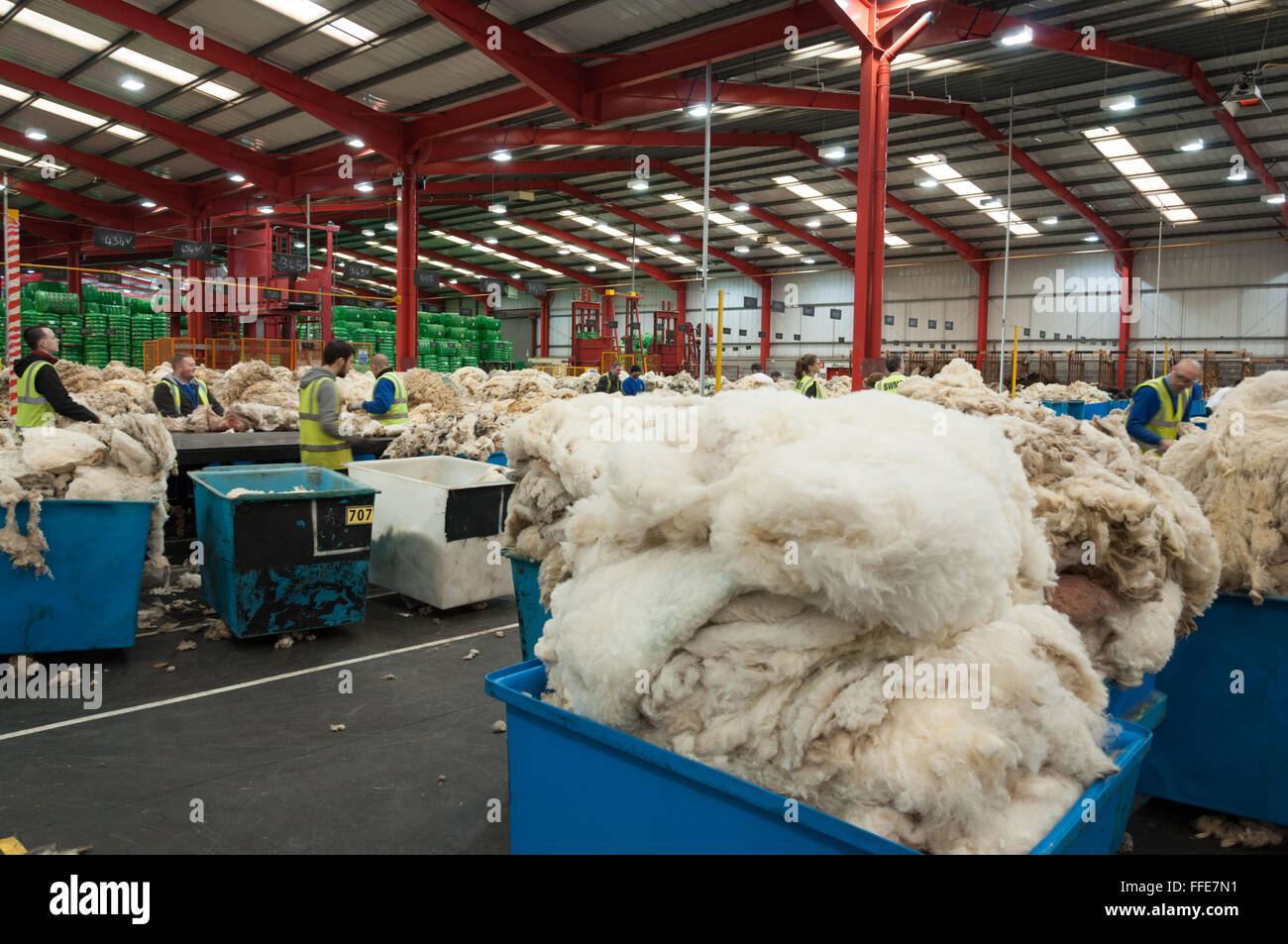 Wool being sorted and graded in Bradford England Stock Photo 95585085