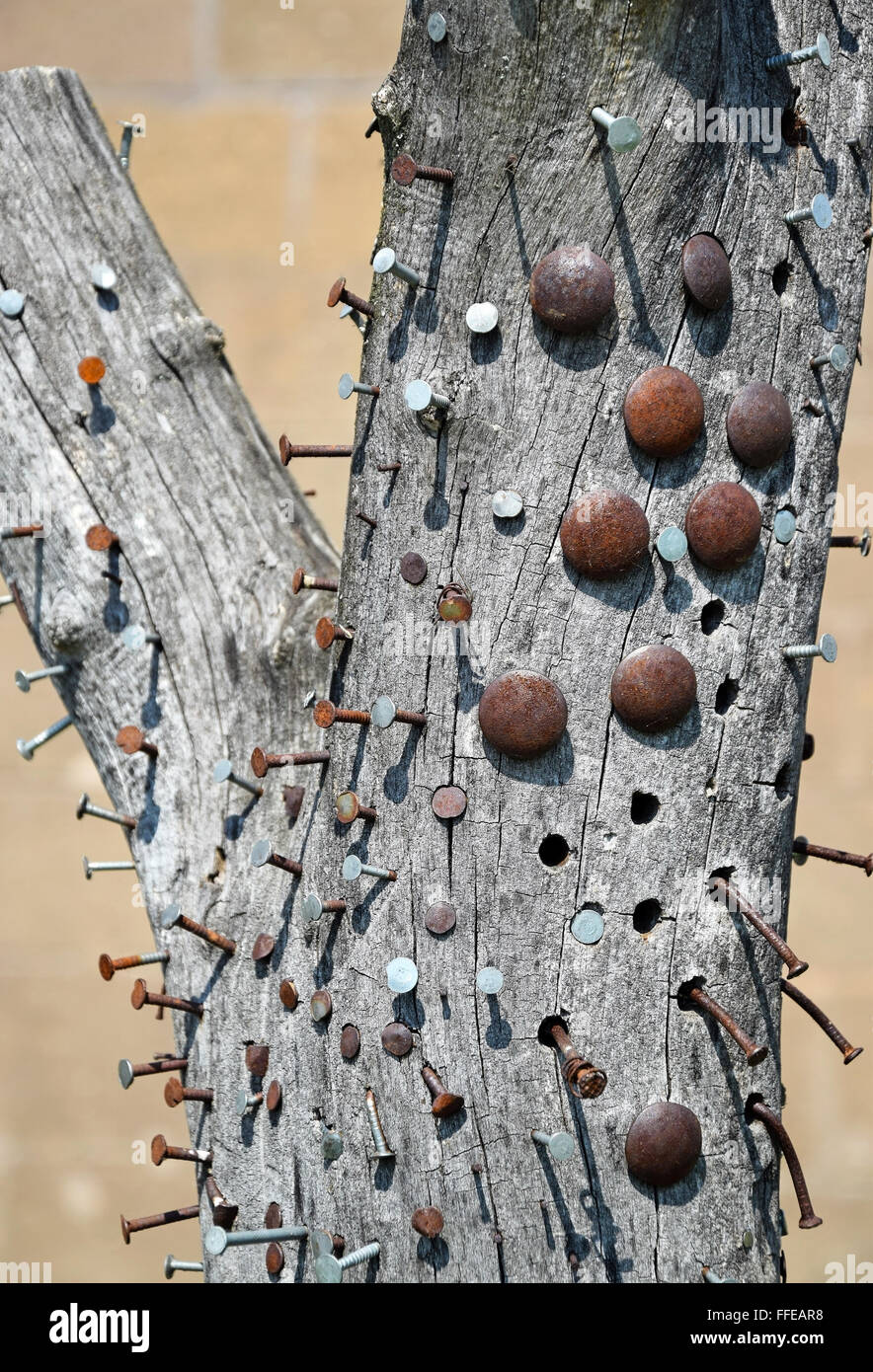Tree trunk with nails Stock Photo Alamy