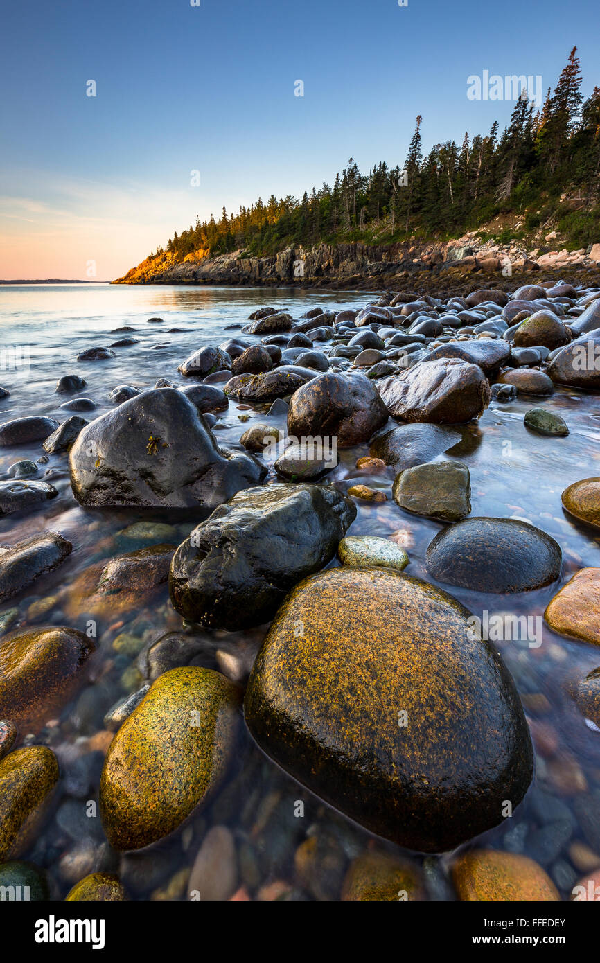 Boulders at sunrise at Hunters Beach Cove in Acadia National Park, Mount Desert Island, Maine. Stock Photo