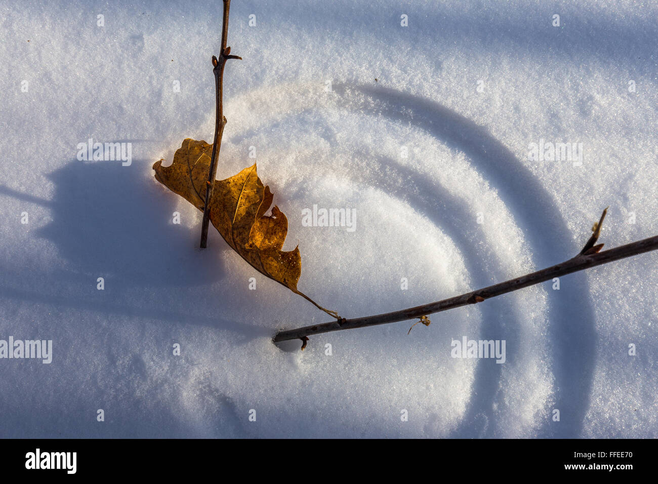 A fallen leaf carves a pattern in the snow in Acadia National Park, Mount Desert Island, Maine. Stock Photo