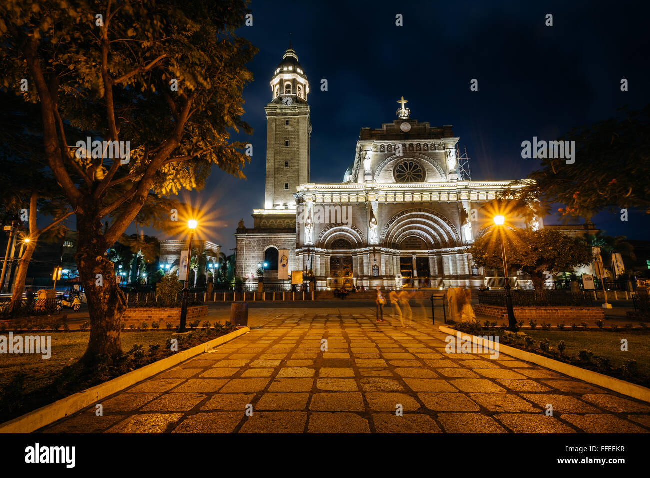 The Minor Basilica and Metropolitan Cathedral of the Immaculate