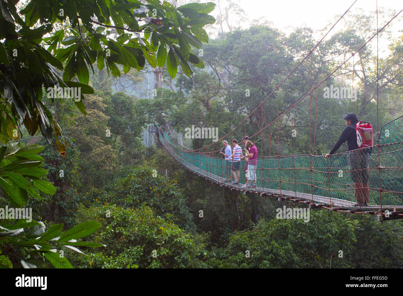 Tourists on a canopy walkway in the Danum Valley, Sabah, Malaysia Stock Photo