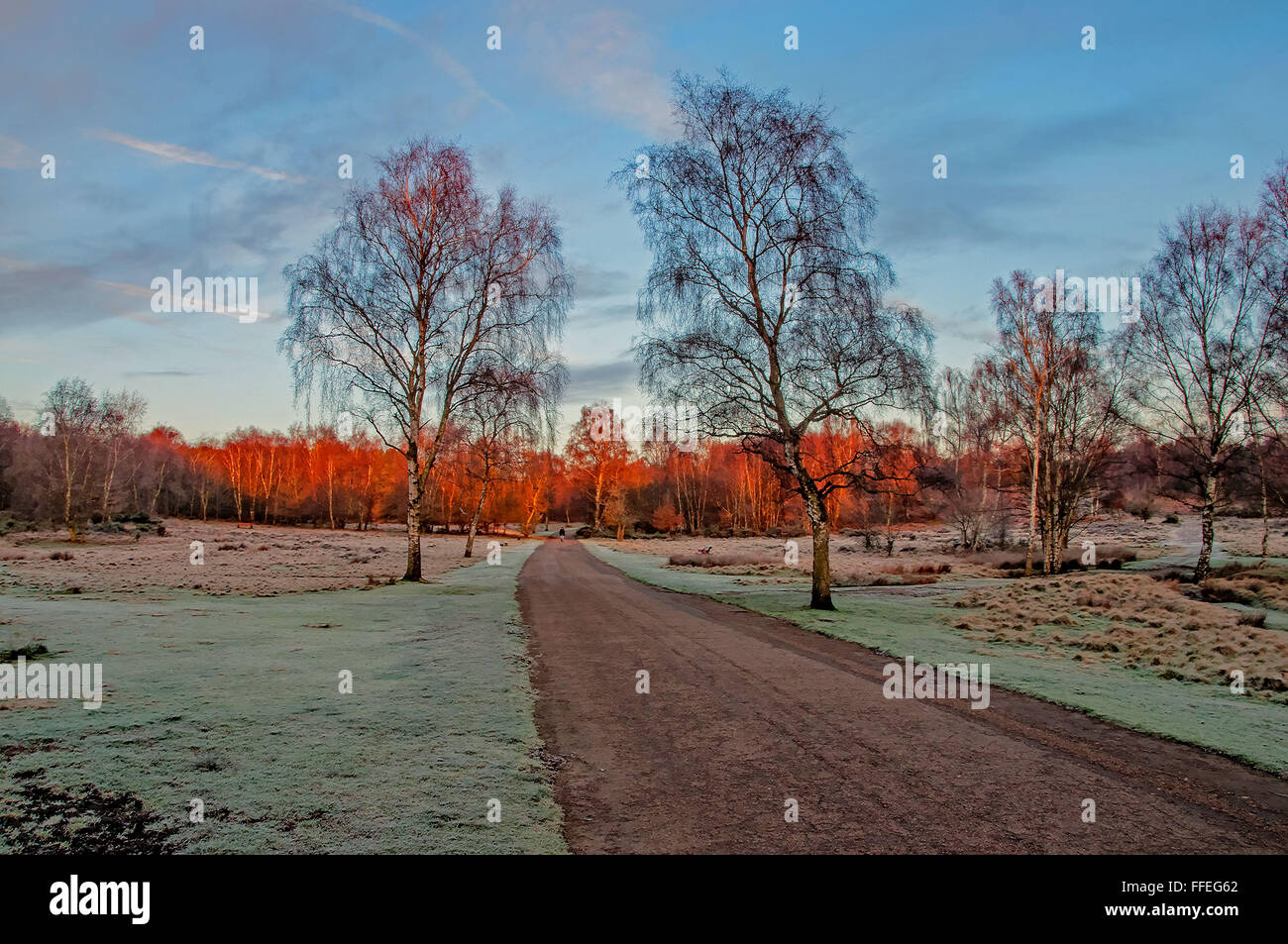 Sutton Park, Sutton Coldfield, West Midlands, UK Stock Photo - Alamy