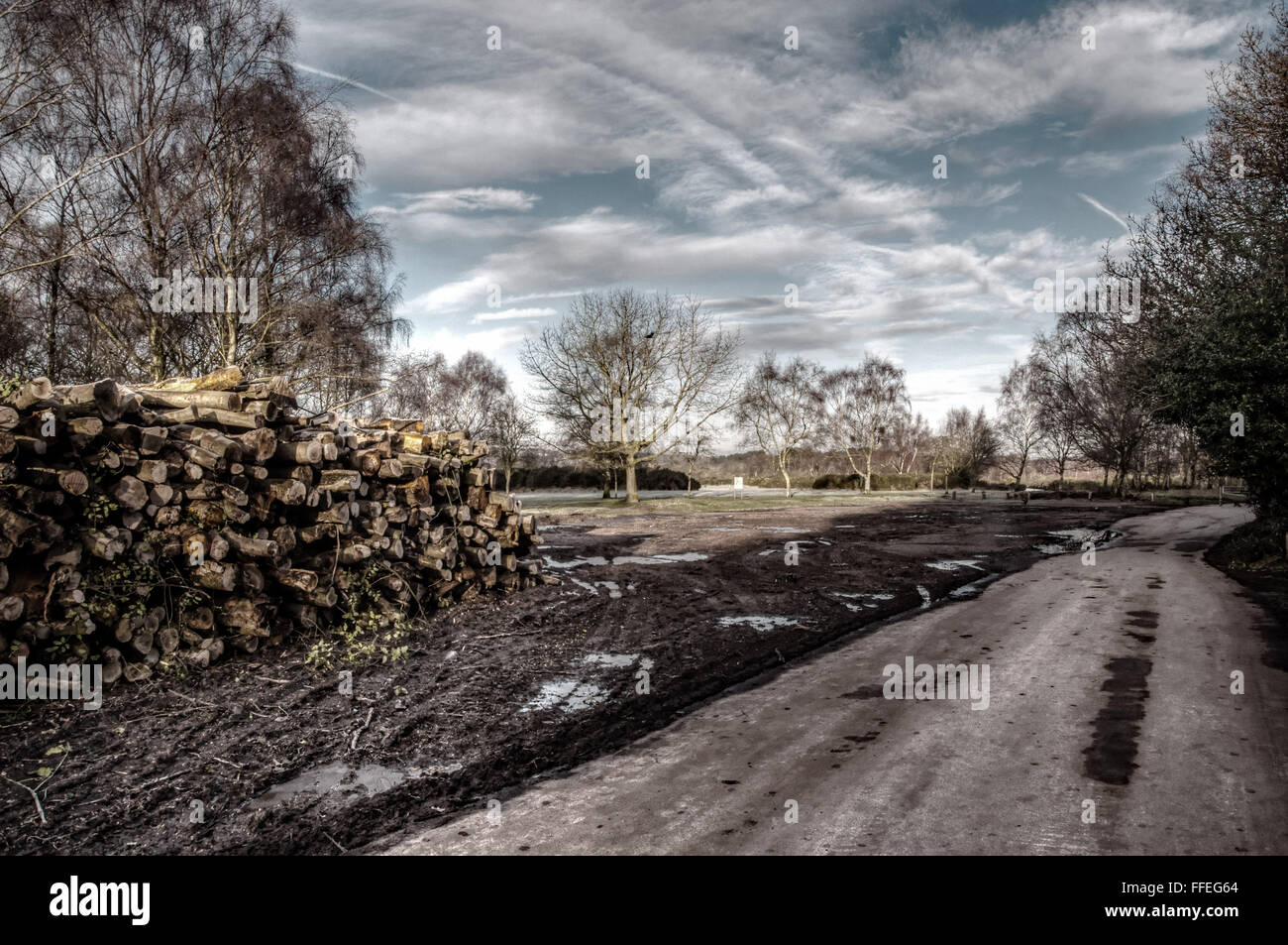 Sutton Park, Sutton Coldfield, West Midlands, UK Stock Photo - Alamy