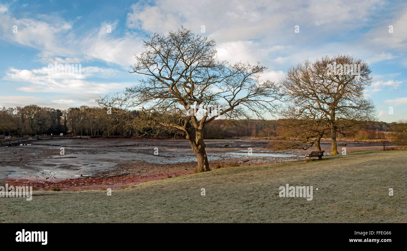 Sutton Park, Sutton Coldfield, West Midlands, UK Stock Photo - Alamy
