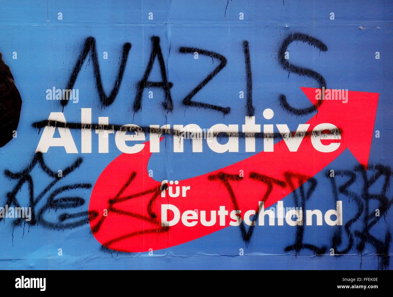 Image result for afd alternative for germany