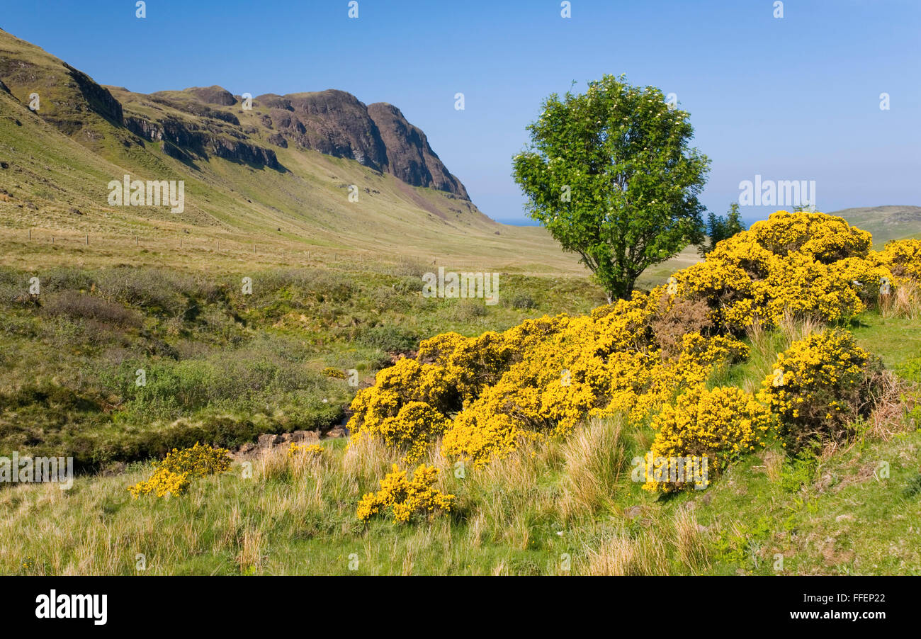 Carbost, Isle of Skye, Highland, Scotland. View along the Talisker Valley to the peak of Preshal More. Stock Photo