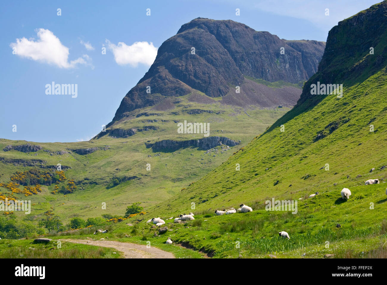 Carbost, Isle of Skye, Highland, Scotland. View along path through the Talisker Valley to the peak of Preshal More. Stock Photo