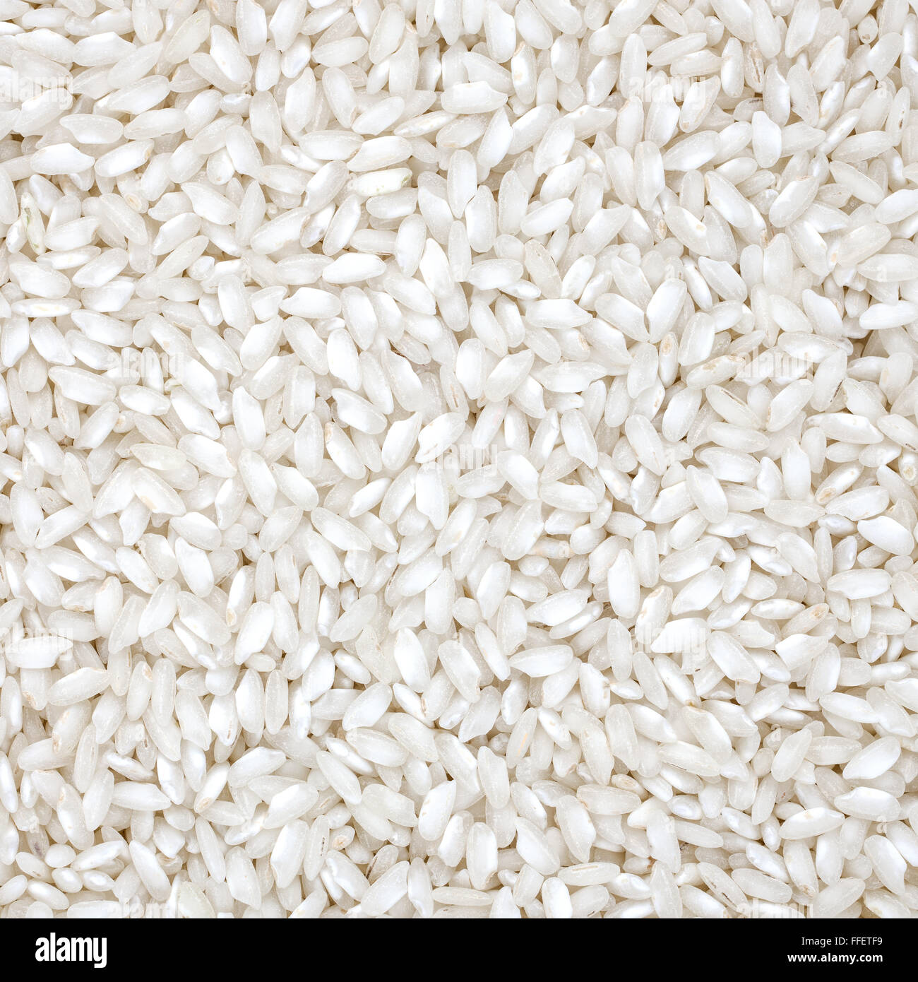 Rice organic wheat raw cereal close up texture or background. Italian healthy eating Stock Photo