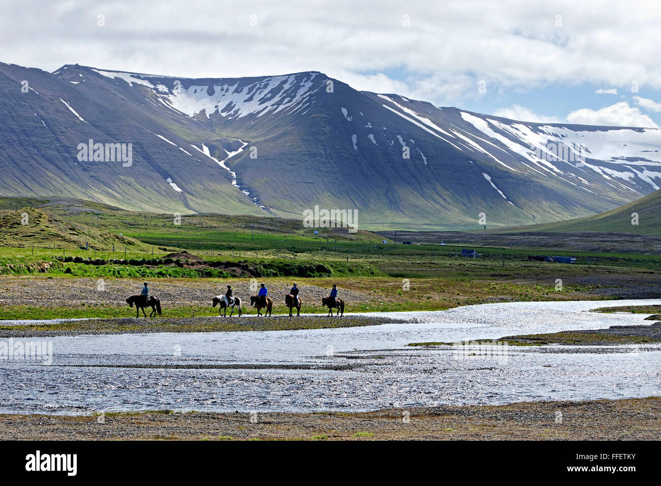 Group of people riding ponies, Reykjanes, Westfjords, Iceland, Europe
