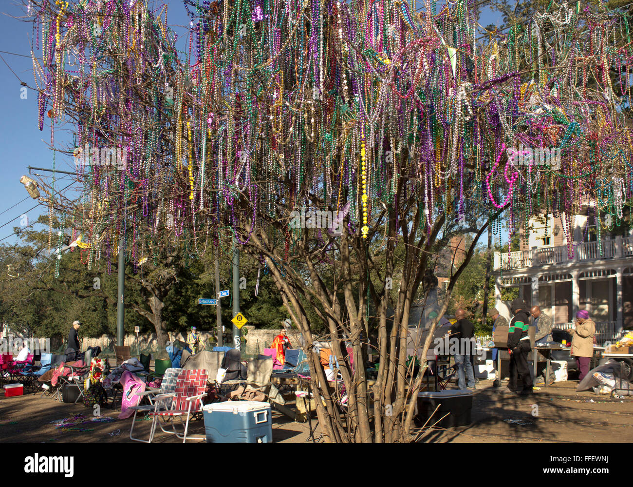 Mardi Gras World on X: This #bead tree on St. Charles Avenue has
