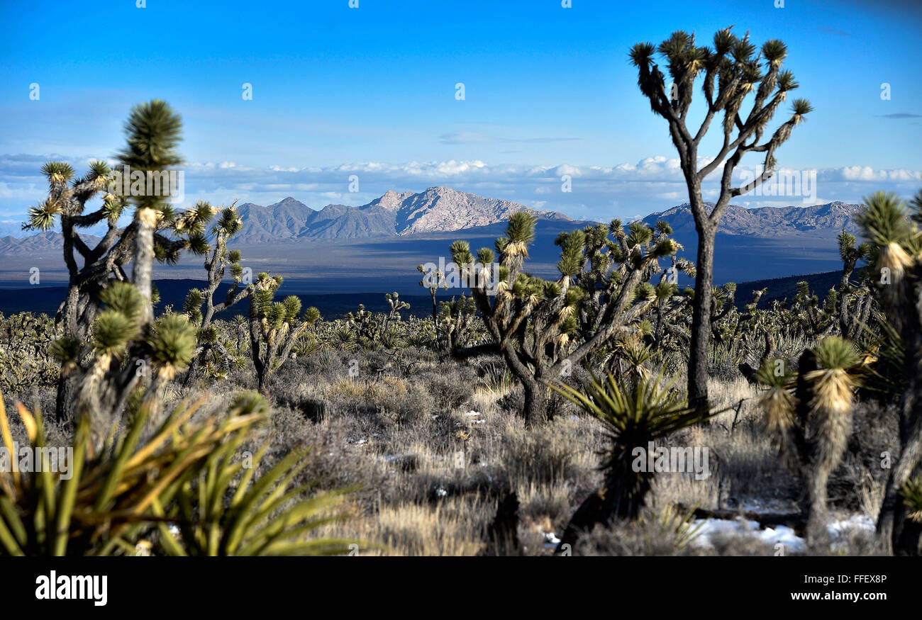 Searchlight nevada hires stock photography and images Alamy