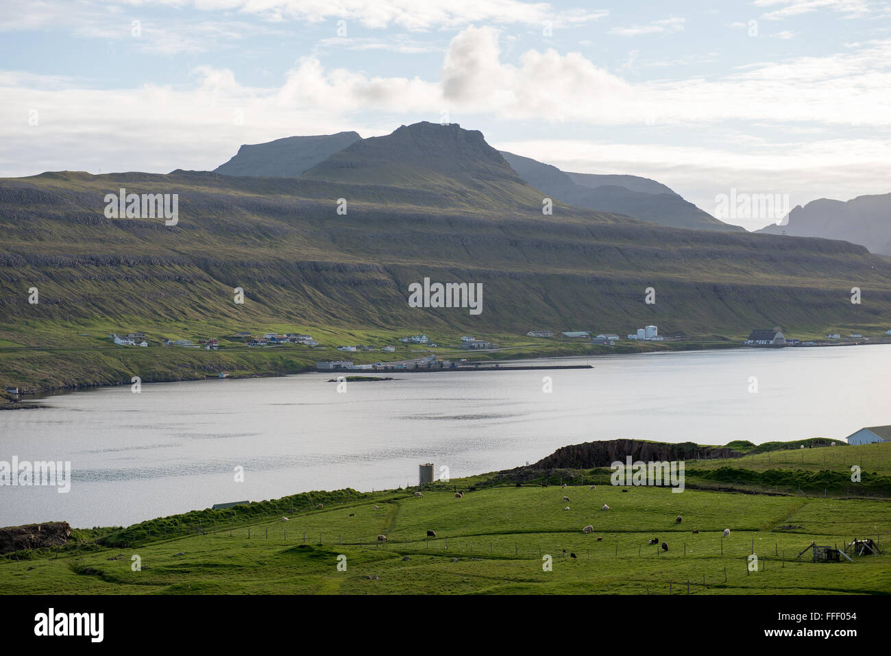 Typical landscape on the Faroe Islands, with green grass, rocks and ...