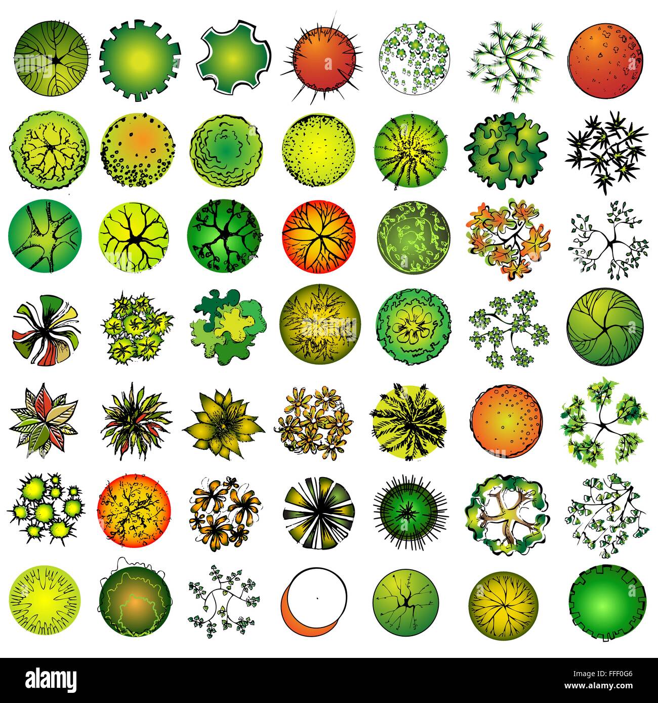 Landscape Design Tree Symbols