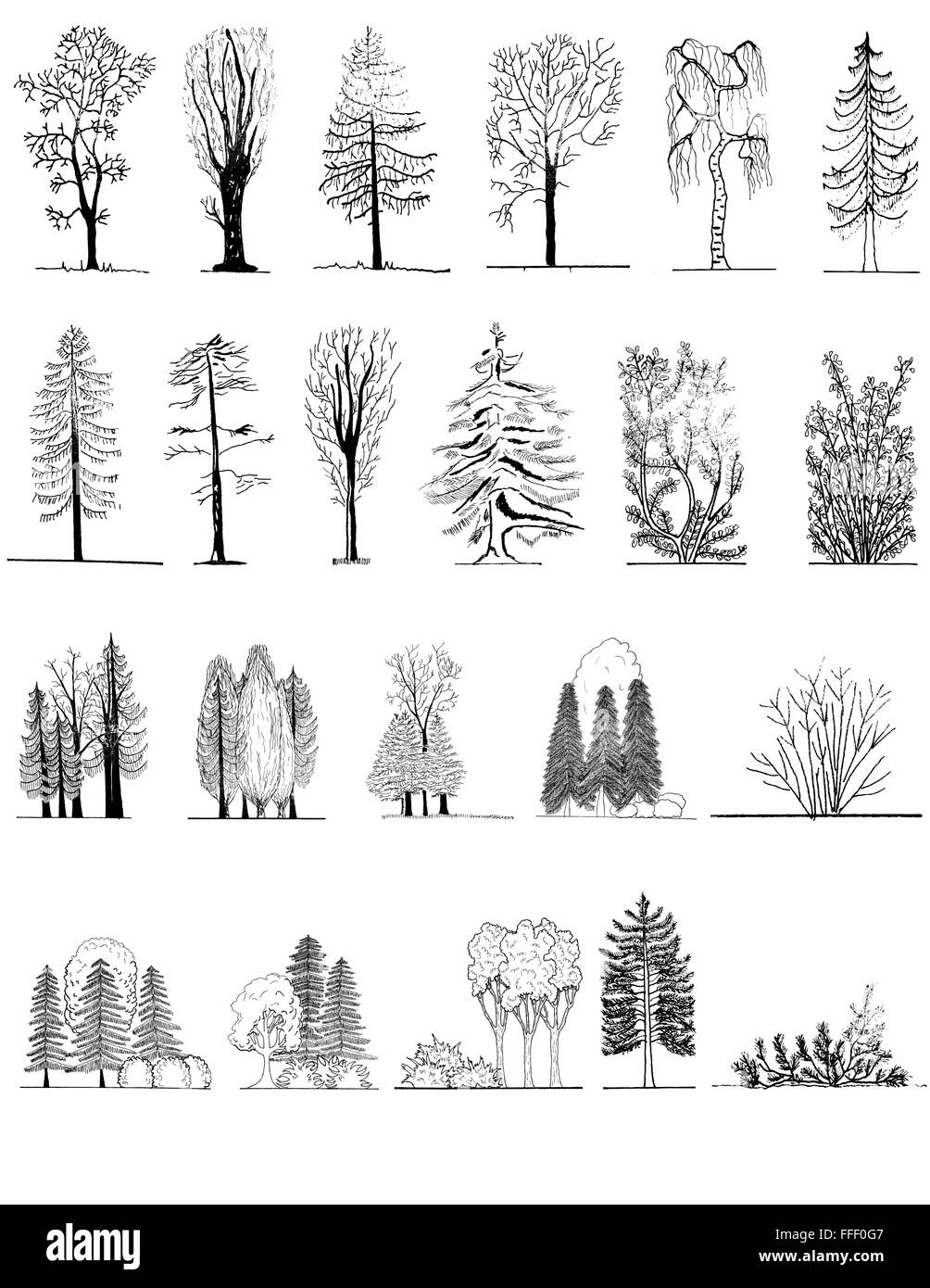 A set of tree silhouettes , for architectural or landscape design, black and white Stock Vector