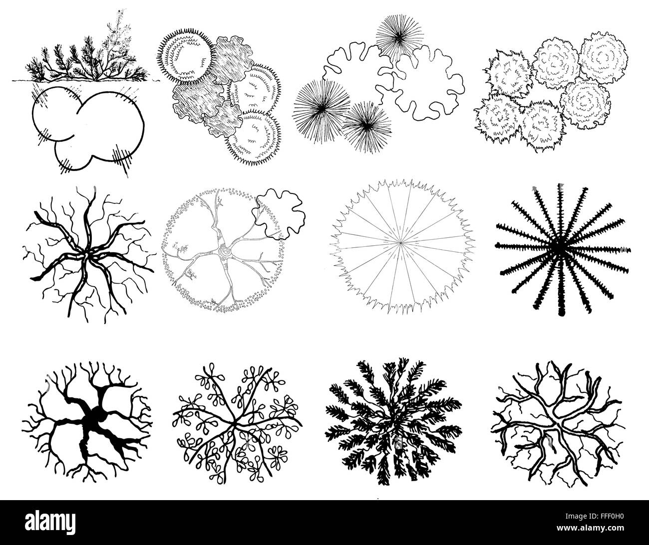 A set of tree silhouettes , for architectural or landscape design, black and white Stock Vector
