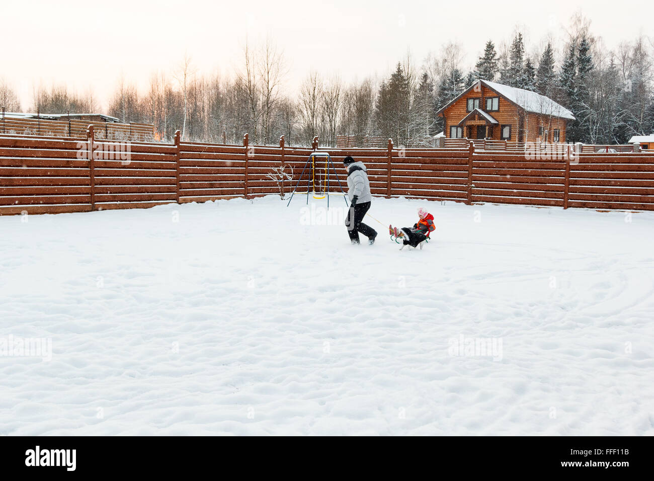 Dad daughter and dog sledding in the backyard Stock Photo