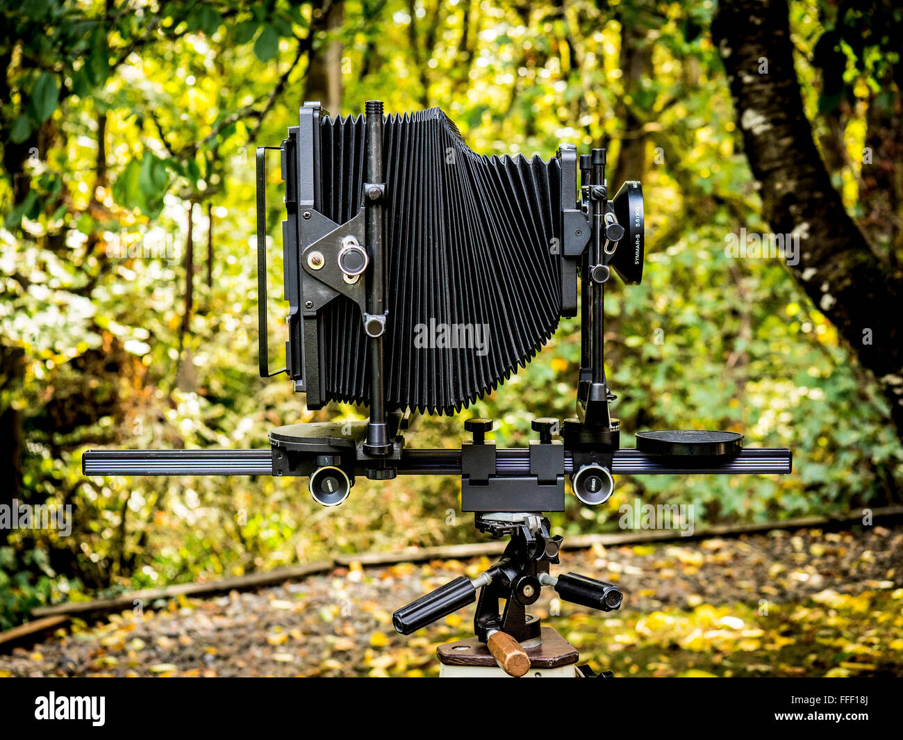 A large format view camera against a green nature background stock