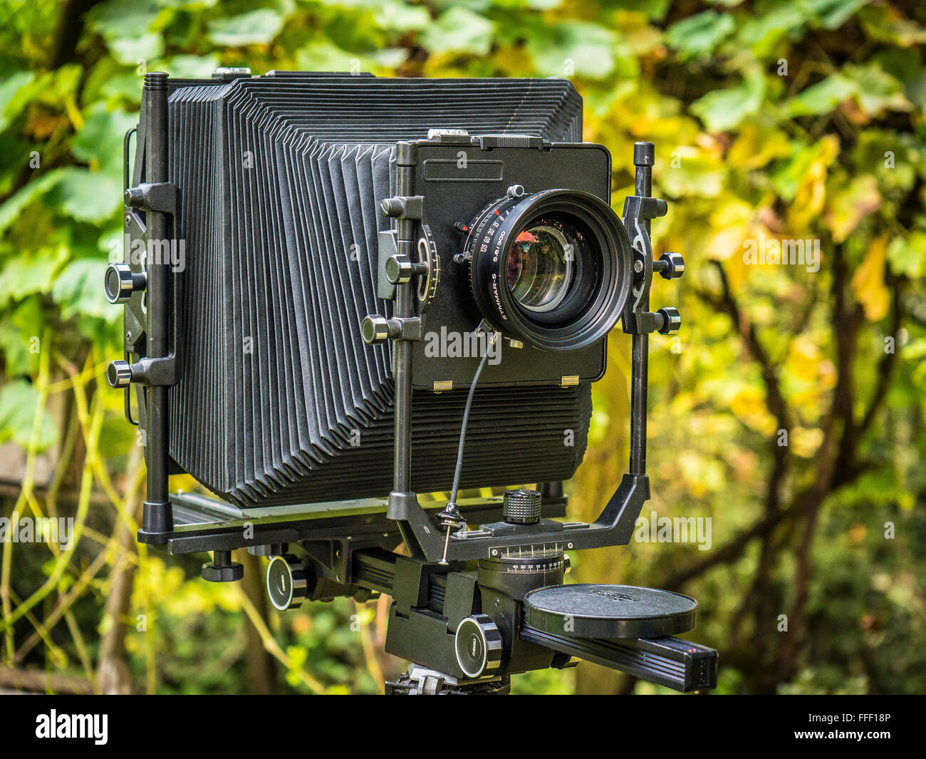 A large format view camera against a green nature background Stock Photo