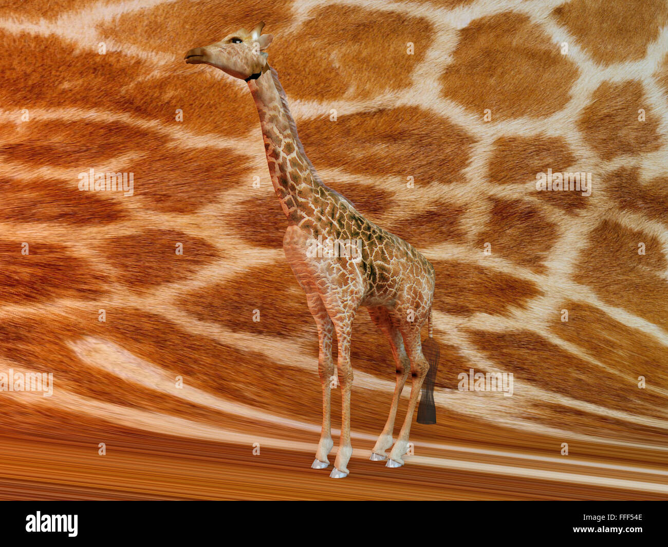 Giraffe with same texture background Stock Photo