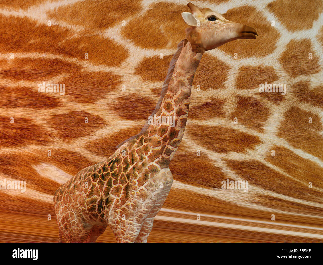 Giraffe with same texture background Stock Photo