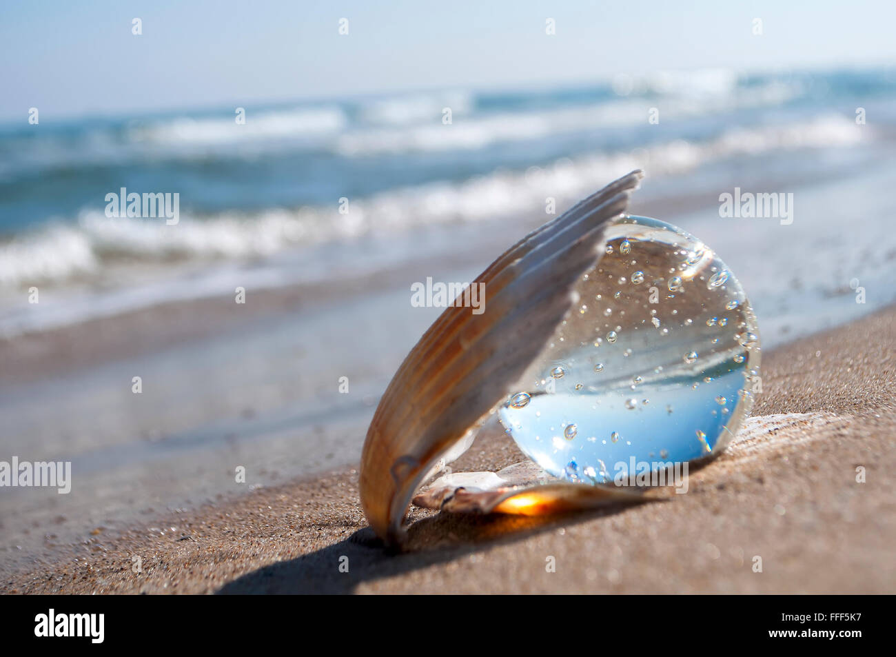 transparent crystal ball as the pearl lies in a seashell in the sand on the beach Stock Photo