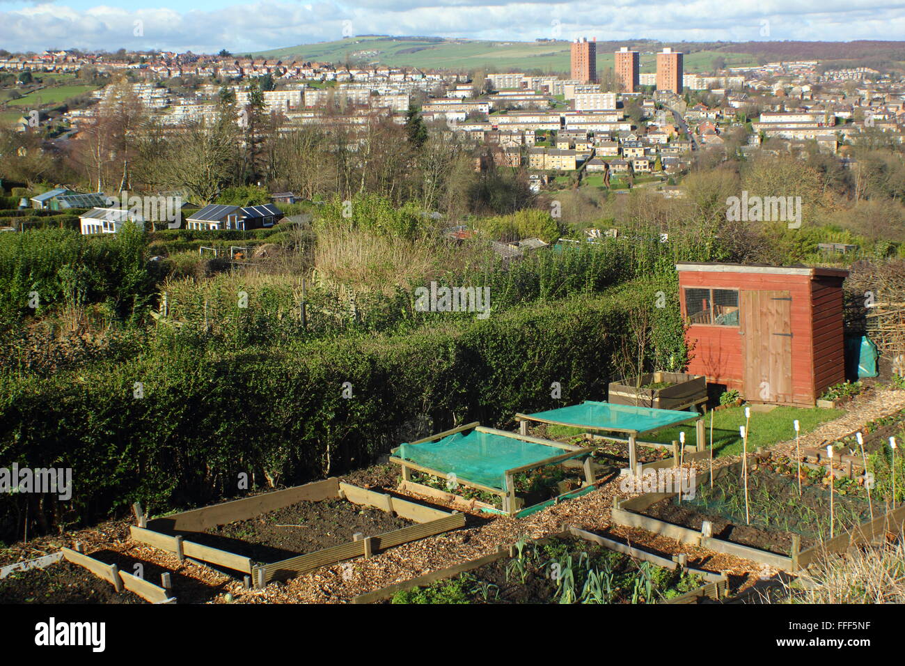 Hagg Lane Allotments in Sheffield, South Yorkshire looking to the city's rural fringe, England UK Stock Photo