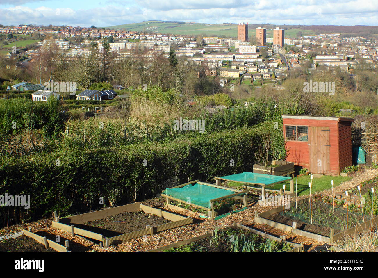 Allotments on a hillside in Sheffield, south Yorkshire looking to the hills on the city's rural fringe, England UK Stock Photo