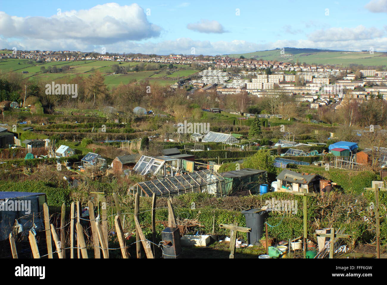 Allotments on a hillside in Sheffield, South Yorkshire looking to the city's rural fringe, England UK Stock Photo