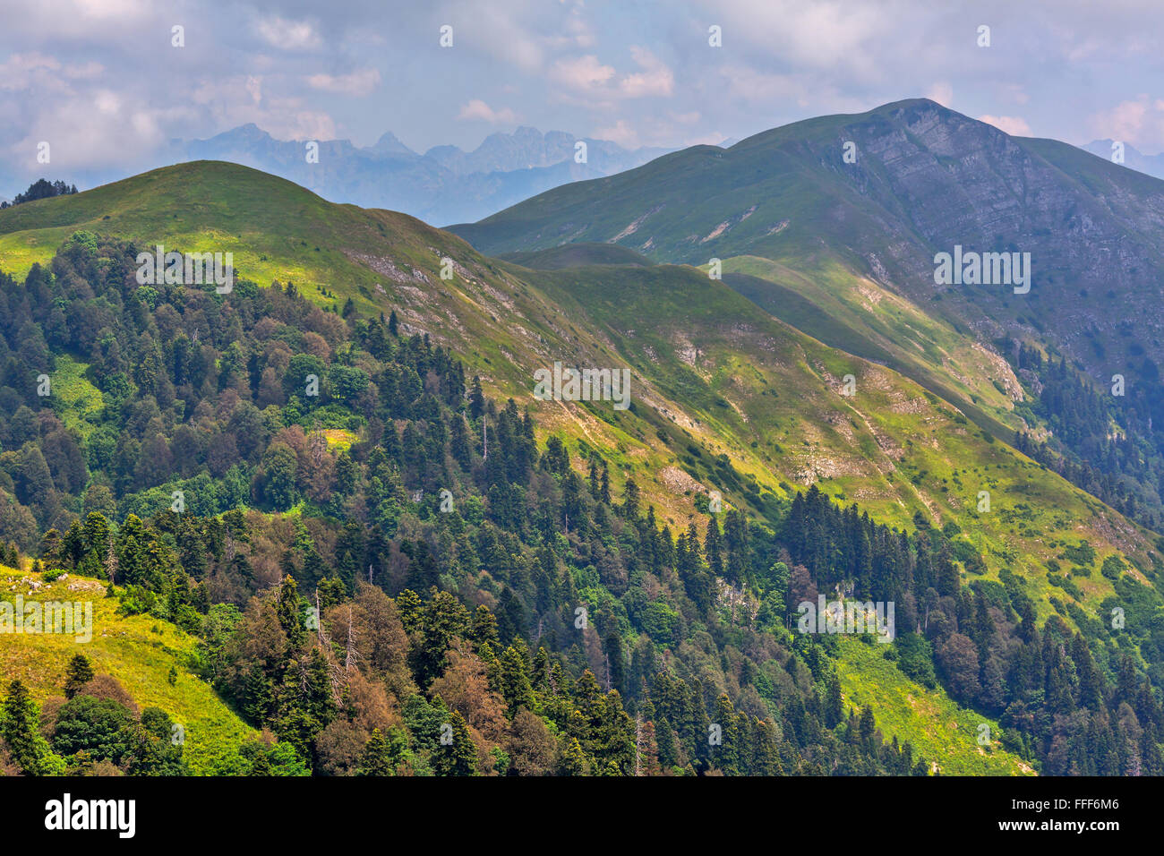 Highland view at sunny day with green forests Stock Photo - Alamy
