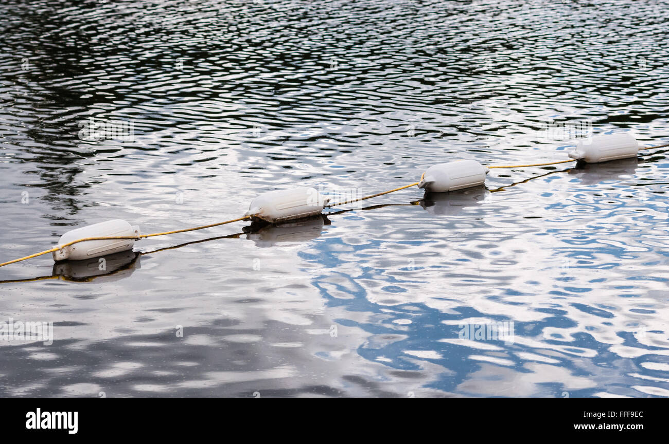 Four white floating marker buoys linked with yellow rope on reflective rippled dark water, crossing at diagonal angle. Stock Photo
