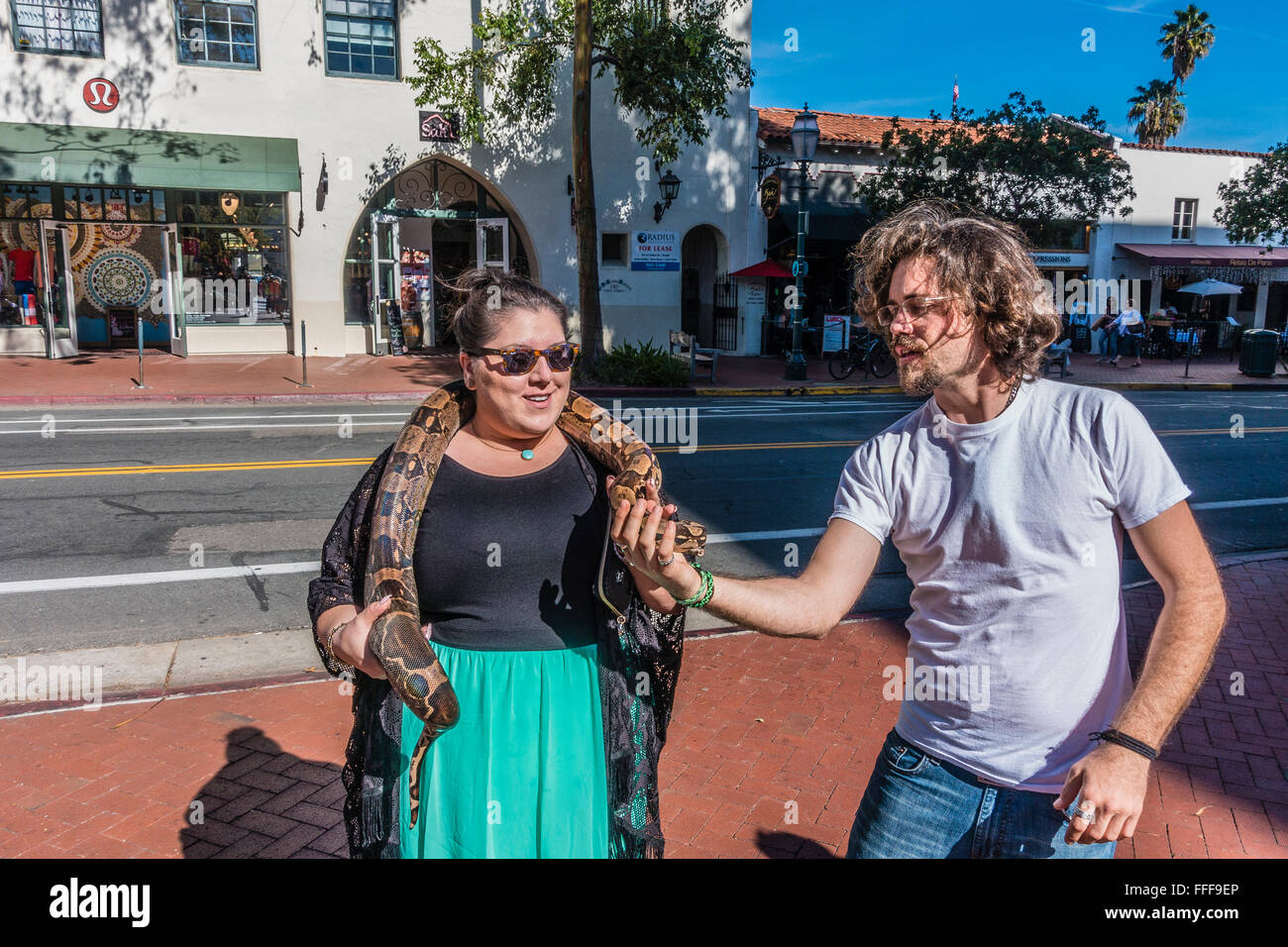The owner of a Columbian boa constrictor,  who panhandles for money using his snake, drapes the snake around a female volunteer. Stock Photo