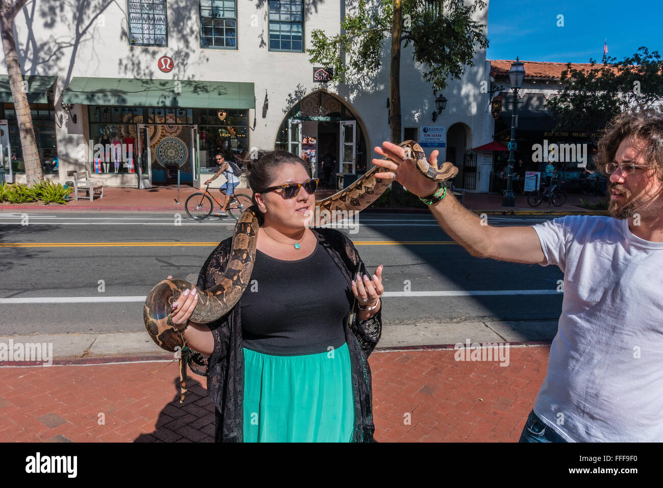 The owner of a Columbian boa constrictor,  who panhandles for money using his snake, drapes the snake around a female volunteer. Stock Photo