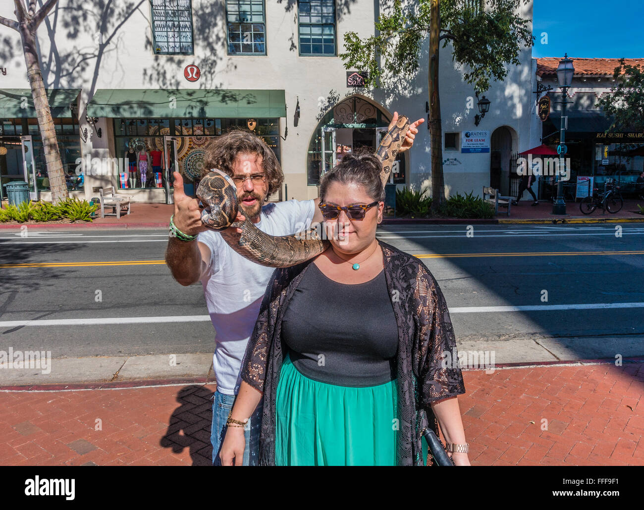 The owner of a Columbian boa constrictor,  who panhandles for money using his snake, drapes the snake around a female volunteer. Stock Photo