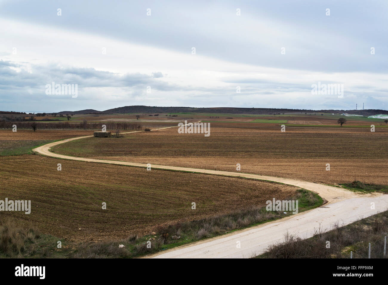Autum road in the field. Stock Photo