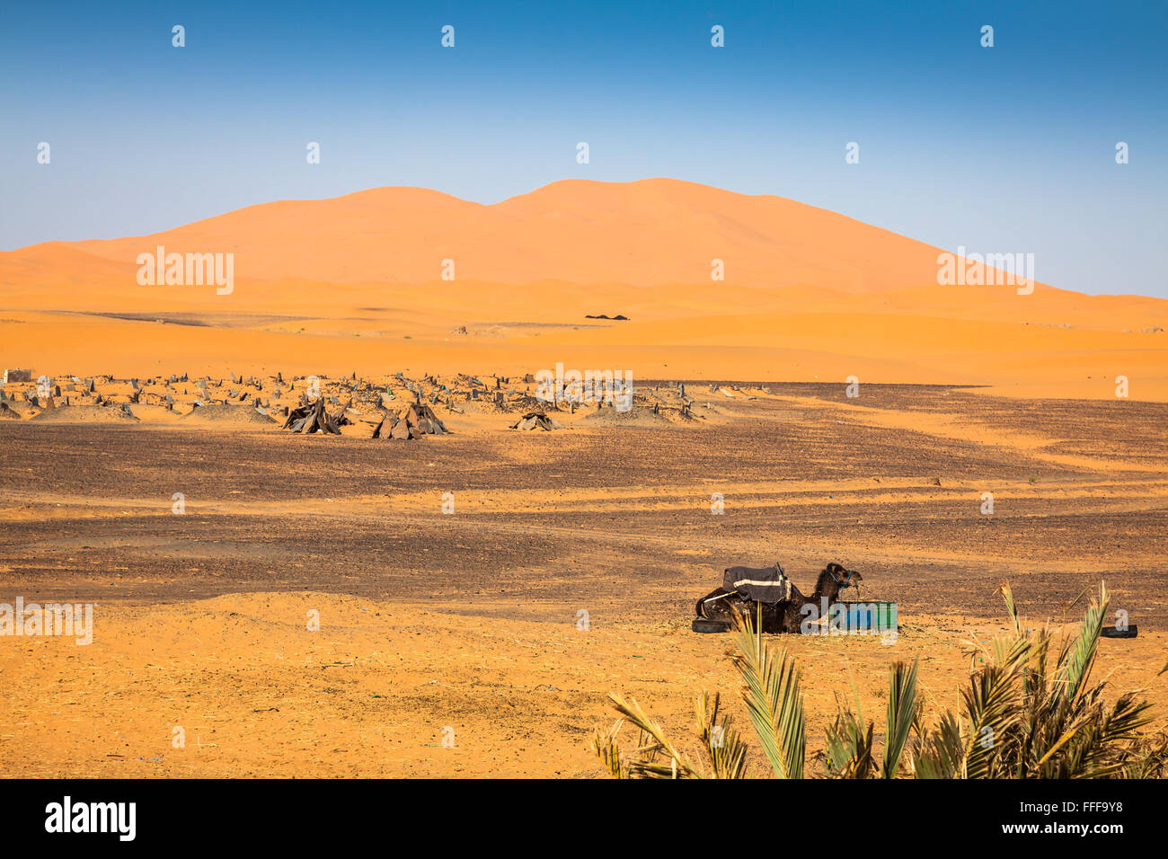 Sand Dunes of Erg Chebbi int he Sahara Desert, Morocco Stock Photo - Alamy